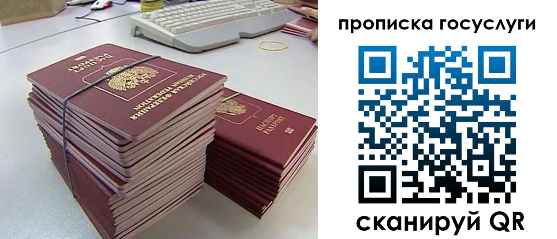 временная регистрация в квартире в Светлогорске