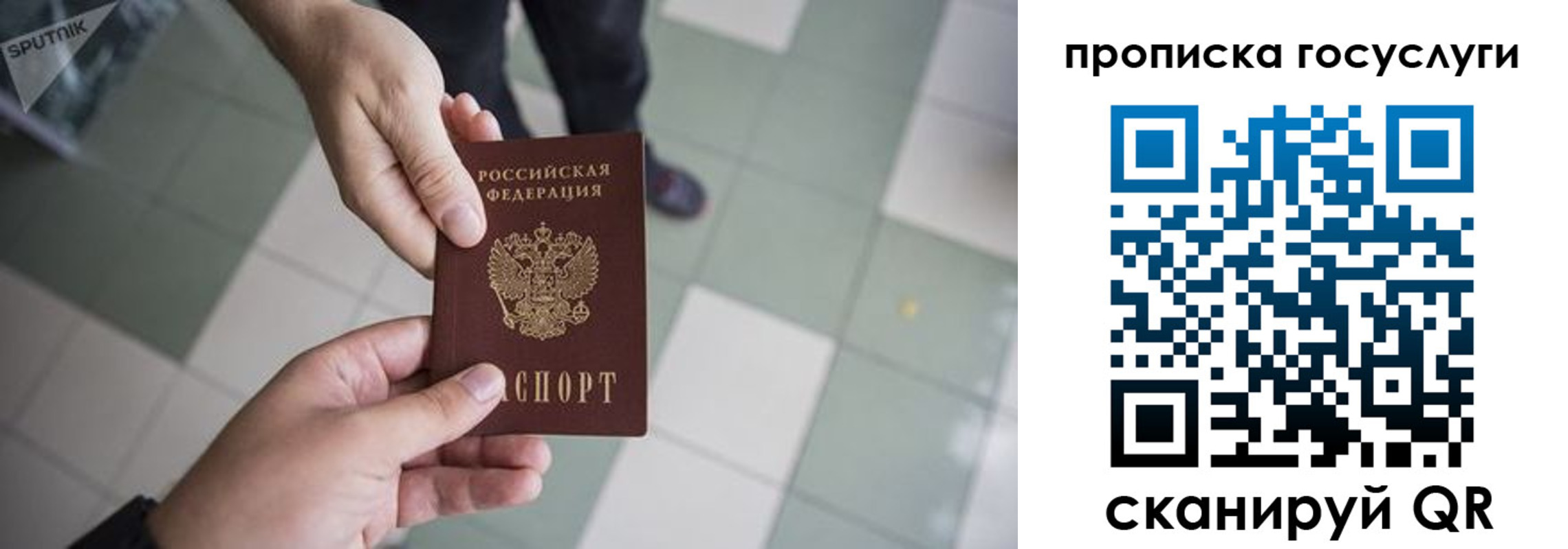 временная регистрация для всех в Светлогорске
